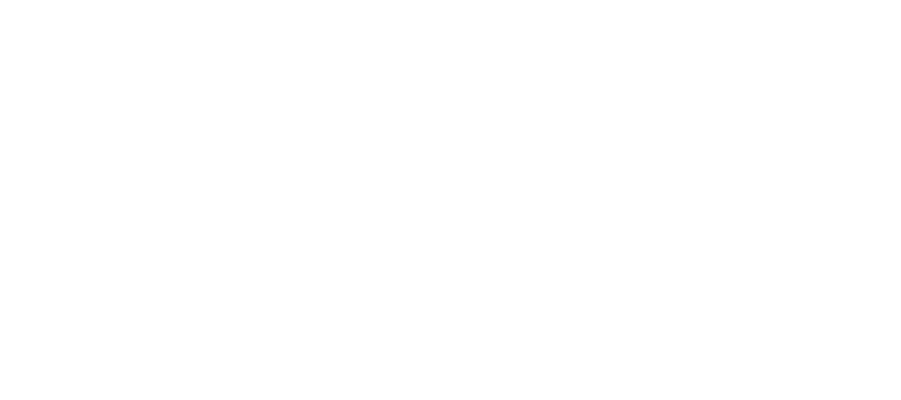 Liga mistrů UEFA